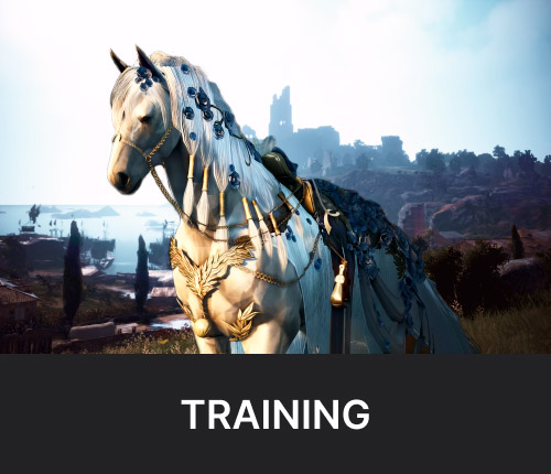 BDO Training Life Skill